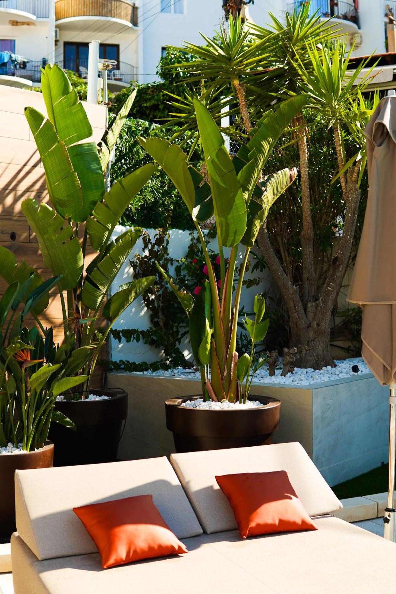 Ferienwohnung Typic Oasis Sa Tanca Cala Llonga  Exterior foto